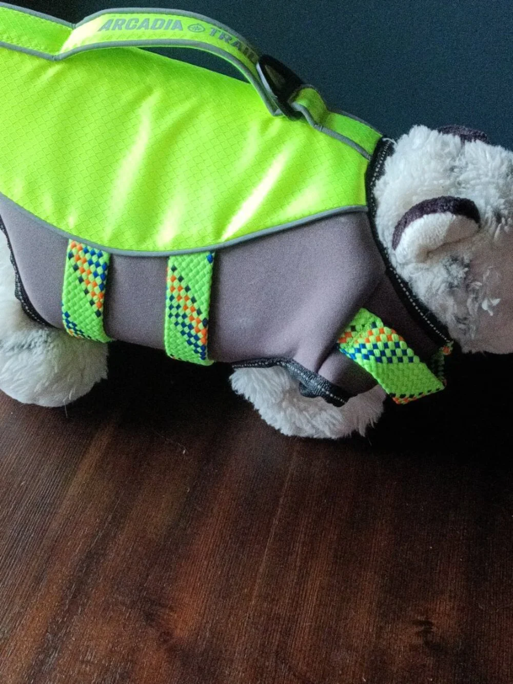 Arcadia Trail Puppy Life Jacket XS